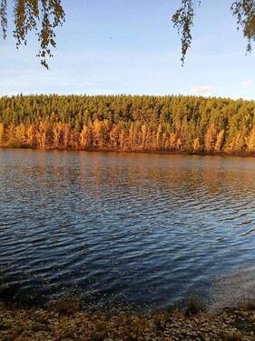 Foto - Haus im idyllischen Fuchsmühl zu verkaufen!