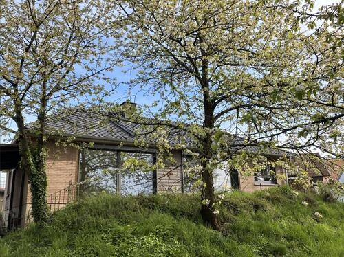 Foto - Modernisiertes Einfamilienhaus mit Garten zu vermieten