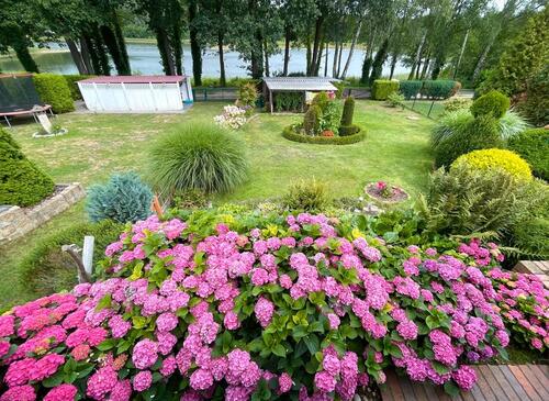 Foto - Einfamilienhaus in Guben zum Kaufen