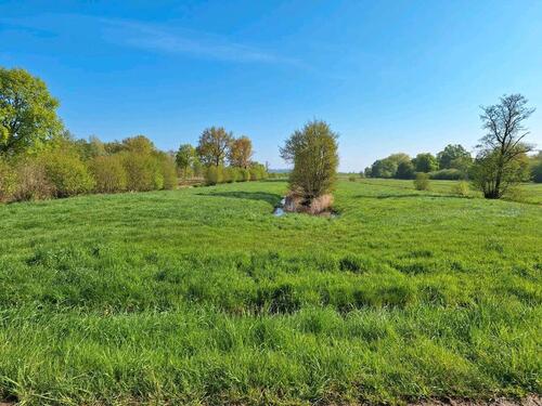 Foto - Wiese Land Weideland Pferdeweide Grünland Heu