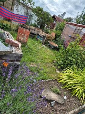 Foto - pachtgarten - 1.700,00 EUR Kaltmiete, ca.  0,00 m²