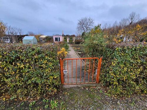 Foto - Grundstück in Blankenburg (Harz) zur Miete