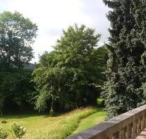 Tolle Altbauwohnung mir großer Terrasse ! - Falkenstein/Vogtland