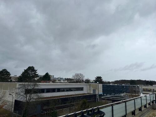 Foto - Einfamilienhaus in Offenbach am Main zur Miete