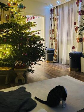 Foto - Einfamilienhaus in Mainz zum Kaufen