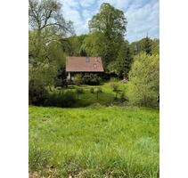 Grundstück mit Haus - 75.000,00&nbsp;EUR Kaufpreis, ca.&nbsp; 2.047,00&nbsp;m&sup2; in Wutha-Farnroda (PLZ: 99848)