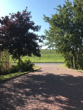 Foto - andere zur Miete in Borgentreich