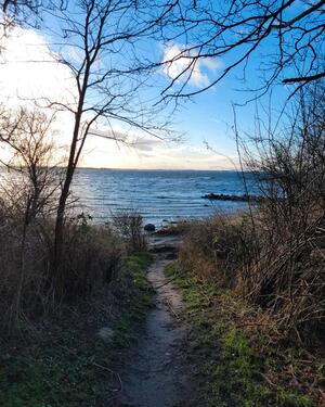 Foto - andere in Bad Salzuflen