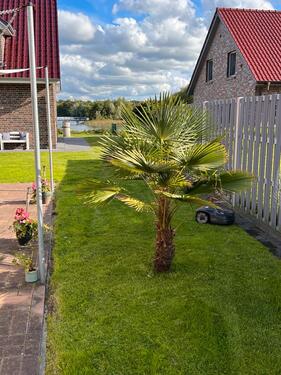 Foto - andere in Südbrookmerland