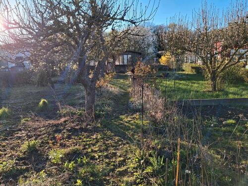 Foto - Kleingarten im Verein ' Zur alten Burg e.V.'