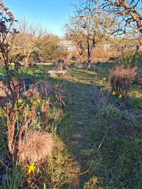 Foto - Grundst&uuml;ck in Barth zur Miete