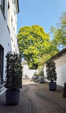 Foto - Etagenwohnung in Krefeld zur Miete