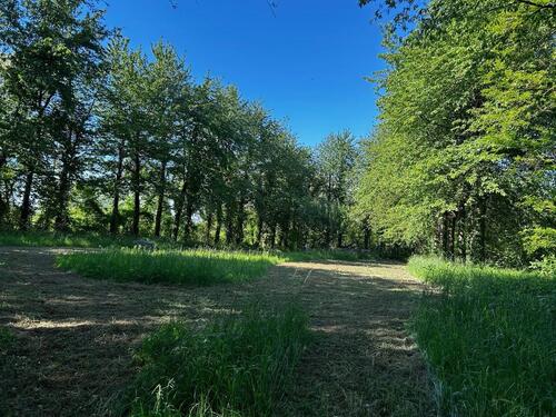 Foto - Freizeitgrundstück, Gartengrundstück, Wiesengrundstück