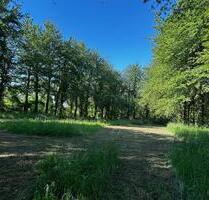 Freizeitgrundstück, Gartengrundstück, Wiesengrundstück - Ettenheim