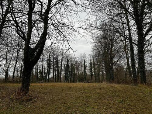 Foto - Grundst&uuml;ck zur Miete in Ettenheim