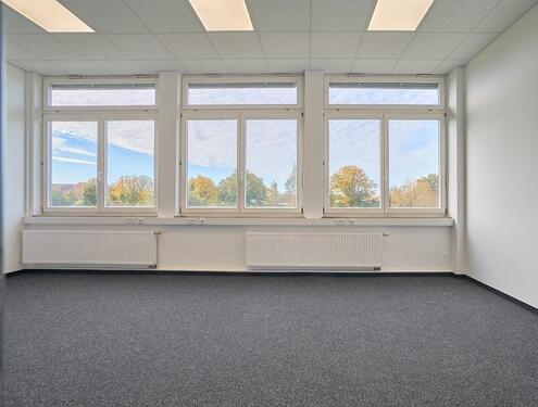 Foto - andere in Teningen