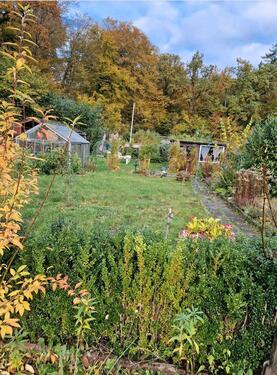 Foto - Kleingarten in Ratekau schnell und günstig abzugeben