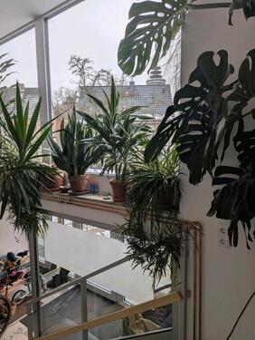 Foto - 2 Zimmer Hochparterre in Molfsee