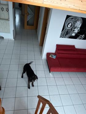 Foto - Wohnung für Dich - 860,00&nbsp;EUR Kaltmiete, ca.&nbsp; 95,00&nbsp;m&sup2;