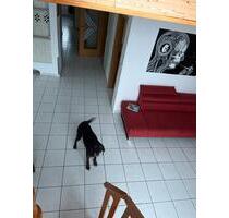 Wohnung für Dich - 860,00&nbsp;EUR Kaltmiete, ca.&nbsp; 95,00&nbsp;m&sup2; in Neukirchen bei Sulzbach-Rosenberg (PLZ: 92259)