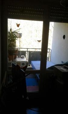 Foto - geräumige zwei-zimmer Dachgeschosswohnung am Waldrand