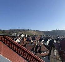 Dachgeschosswohnung über den Dächern Obertürkheims - Stuttgart Luginsland