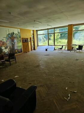 Foto - andere in Wolfenbüttel