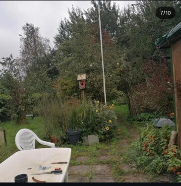 Foto - Wilder Schrebergarten Gartenanlage Ruhetal