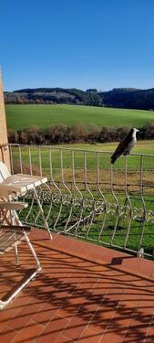 Foto - 3 Zimmer Dachgeschoßwohnung zur Miete in Bleialf