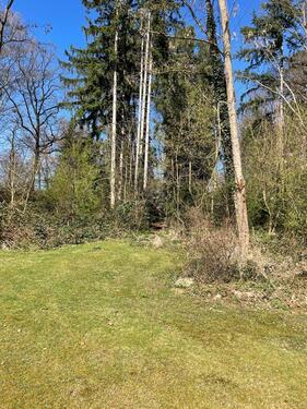 Foto - Deutsch Evern, wunderschönes Waldgrundstück in Top Lage