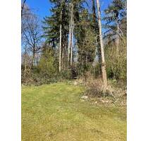 Deutsch Evern, wunderschönes Waldgrundstück in Top Lage - Barendorf