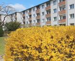 Foto - Berlin 53m² freie 2 Zi Wohnung 12247 Balkon EBK kein Makler