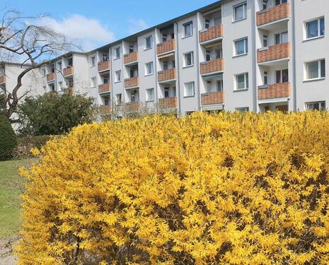 Foto - Berlin 53m² freie 2 Zi Wohnung 12247 Balkon EBK kein Makler
