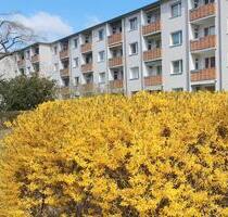 Berlin 53m² freie 2 Zi Wohnung 12247 Balkon EBK kein Makler