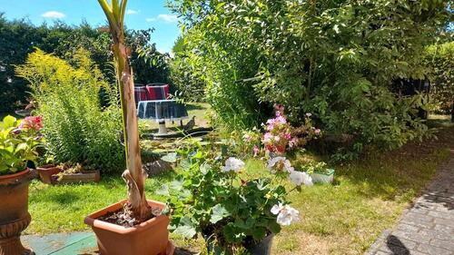 Foto - Einfamilienhaus in Ueckermünde