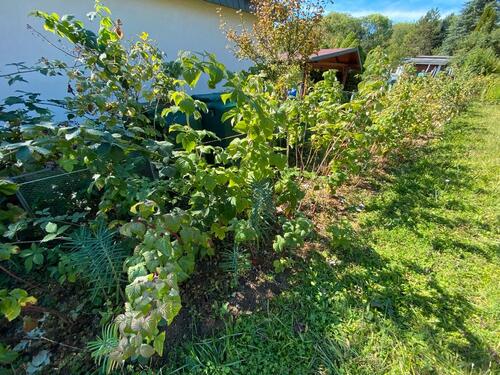 Foto - Grundst&uuml;ck in Lehesten