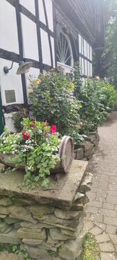 Foto - 6 Zimmer Einfamilienhaus zum Kaufen in Melle