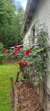 Foto - 6 Zimmer Einfamilienhaus in Melle