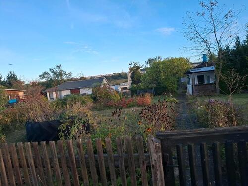 Foto - Pachtgarten - 150,00 EUR Kaltmiete, ca.  0,00 m²