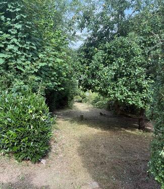 Foto - andere zur Miete in Betzdorf