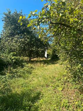 Foto - andere in Betzdorf