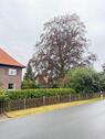 Foto - 7 Zimmer Einfamilienhaus zum Kaufen in Hude (Oldenburg)
