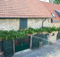 Von Privat: Ferienhaus in Guntersblum