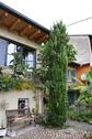 Foto - andere in Guntersblum