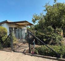 Gepflegter Garten Kleingarten Pachtgarten Verein Schrebergarten - Cottbus Spremberger Vorstadt