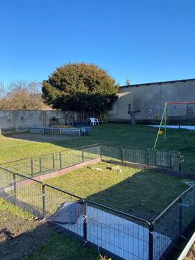 Foto - Mehrfamilienhaus, Wohnhaus in Falkenberg/Elster zum Kaufen