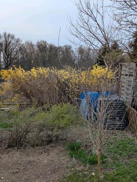 Foto - Grundst&uuml;ck in Leipzig