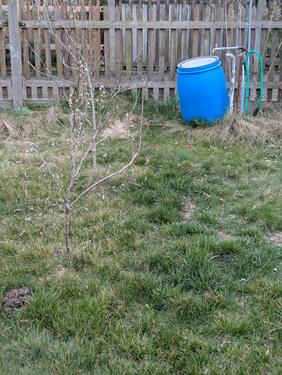Foto - Grundst&uuml;ck in Leipzig zur Miete