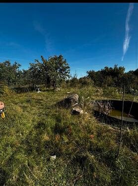 Foto - Kleingarten im Robinienhain E.V.