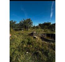 Kleingarten im Robinienhain E.V. - Dresden Neustadt